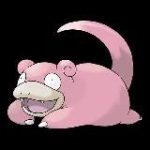 Slowpoke Investments