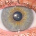 Брамо и его Пиво