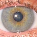 Брамо и его Пиво