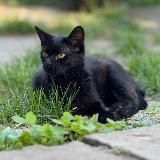 Мутные Базары