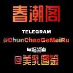 春潮阁美乳图鉴