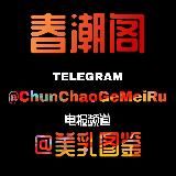 春潮阁美乳图鉴