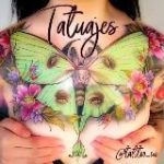 TATUAJES