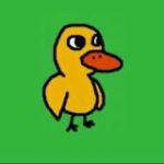 $DUCK – Launch July 18