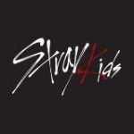 Stray Kids | JYP Entertainment