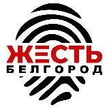 Жесть Белгород