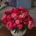 думки вголос