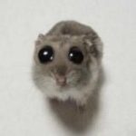 Стикеры | Эмодзи