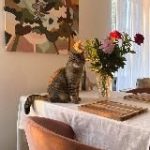 Уютиль – интересные находки с AliExpress для создания уюта