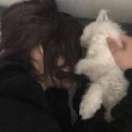 speed songs / Парные авы / темы тг