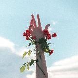 Истина на ладони | Саморазвитие