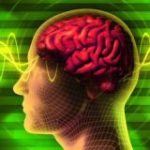 ПИЛА ЖЕСТЬ 18+