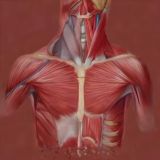 ВРАЧЕБНАЯ ТАЙНА