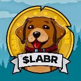 Labrador Adventures $LABR