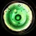 МЕДВЕЖЬЯ ЖЕЛЧЬ