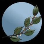 Holistische Gesundheit