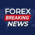 اخبار الفوركس العاجلة