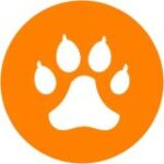 Приколы с животными