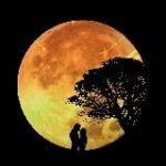 Ответы Инны Беловой