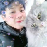 زخارف ، رموز ، بطِوُطٰ 私 .