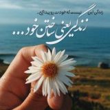 مجله •• زندگی