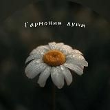 Гармония души | психология, мысли , мотивация