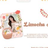 Store Limocha | Open !