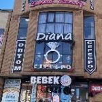 serebro05_diana