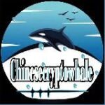 CHINESE CRYPTO WHALES || 大鯨魚