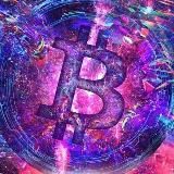 CryptoInsight – трейдинг и инвестиции в криптовалюты