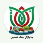 پایگاه خبری جانبازان جنگ تحمیلی معترض به حکومت