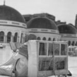 قناة بوت أذكاري