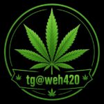 🚀tg@weh420🚀極搜Tg大麻420專門店(台灣中國大陸香港)(mdma迷幻蘑菇thc油LSD)Telegram