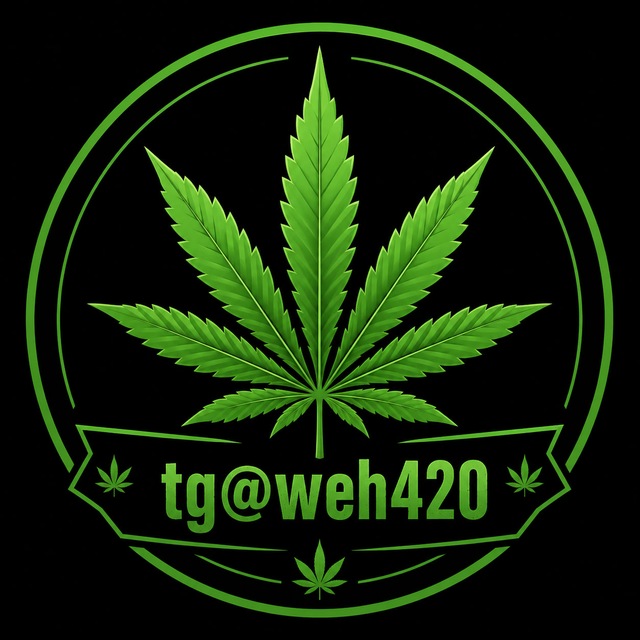 🚀tg@weh420🚀極搜Tg大麻420專門店(台灣中國大陸香港)(mdma迷幻蘑菇thc油LSD)Telegram