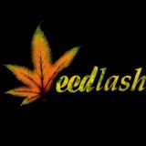 ویدلش | weedlashya