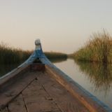 Sealand Iraq